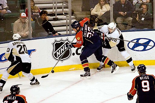 Oilers vs Panthers NHL match