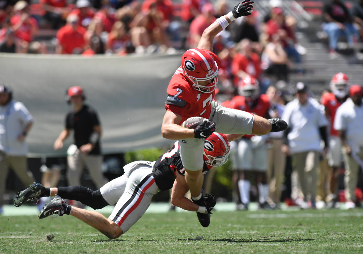 Georgia vs. Clemson 2024 highlights