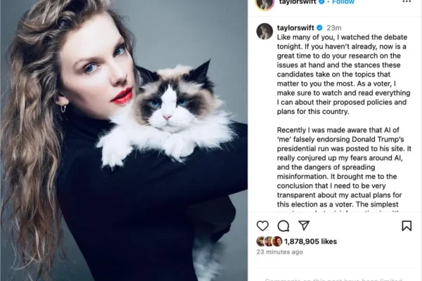 Elon Musk Taylor Swift comment